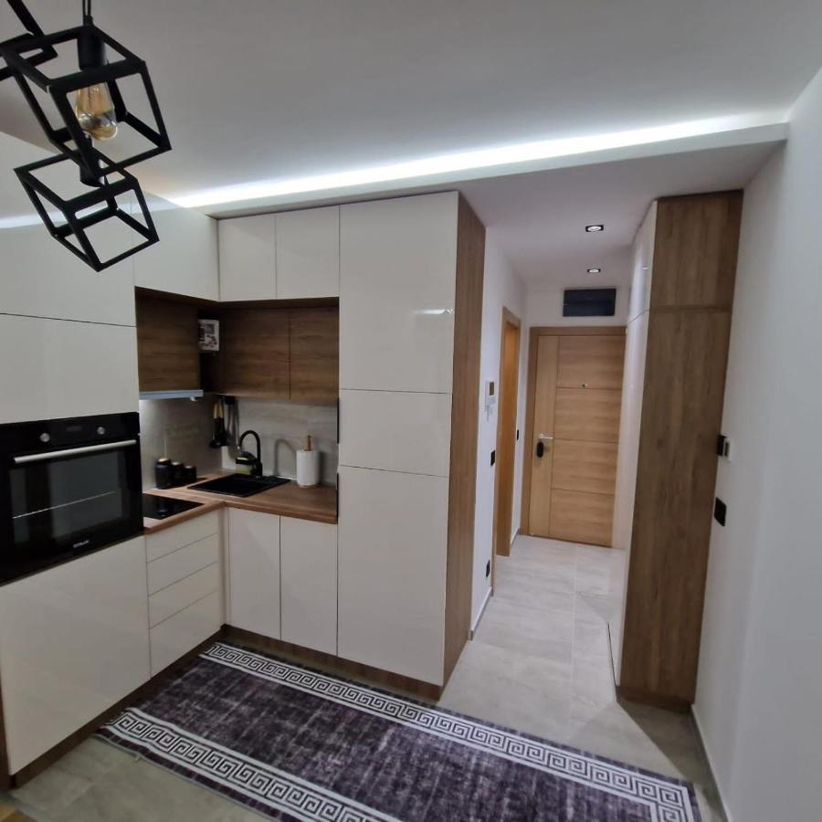 Helena Lux Apartman Zlatibor Apartman Kültér fotó